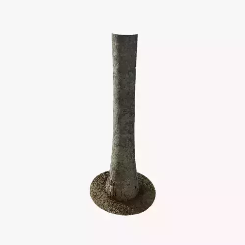 Anydrafts Roystonea regia Trunk 01 Low-poly 3D model
