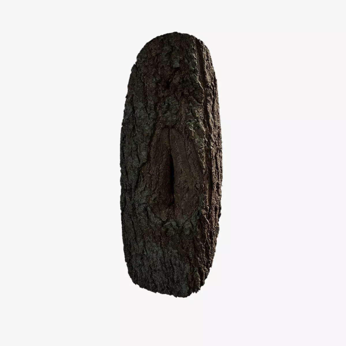 Anydrafts Salix babylonica Burl 01 Low-poly 3D model