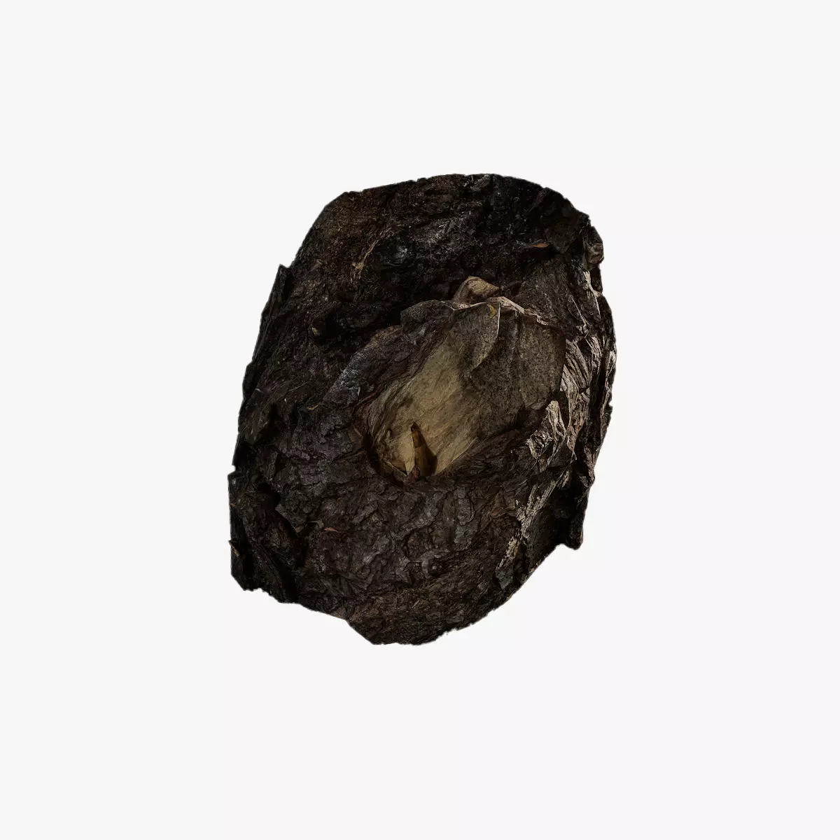 Anydrafts Salix babylonica Burl 02 Low-poly 3D model