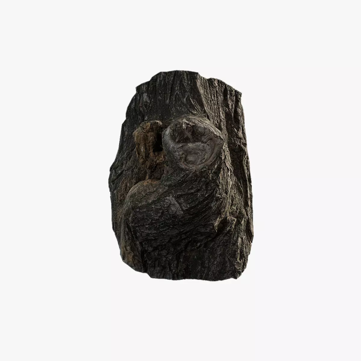 Anydrafts Salix babylonica Burl 04 Low-poly 3D model