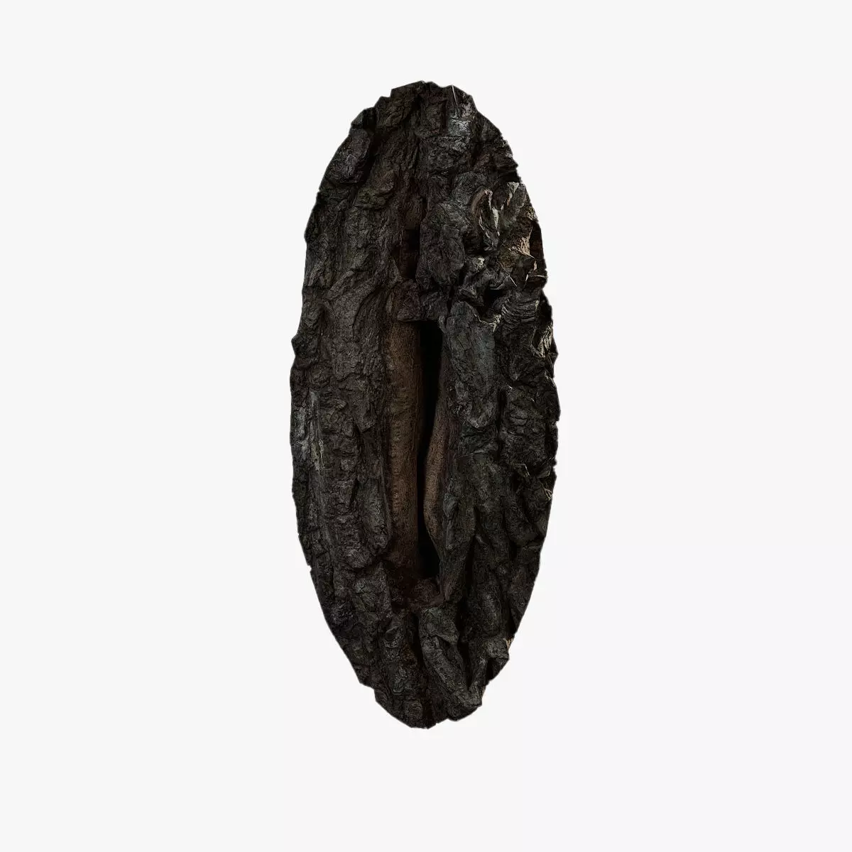 Anydrafts Salix babylonica Burl 05 Low-poly 3D model