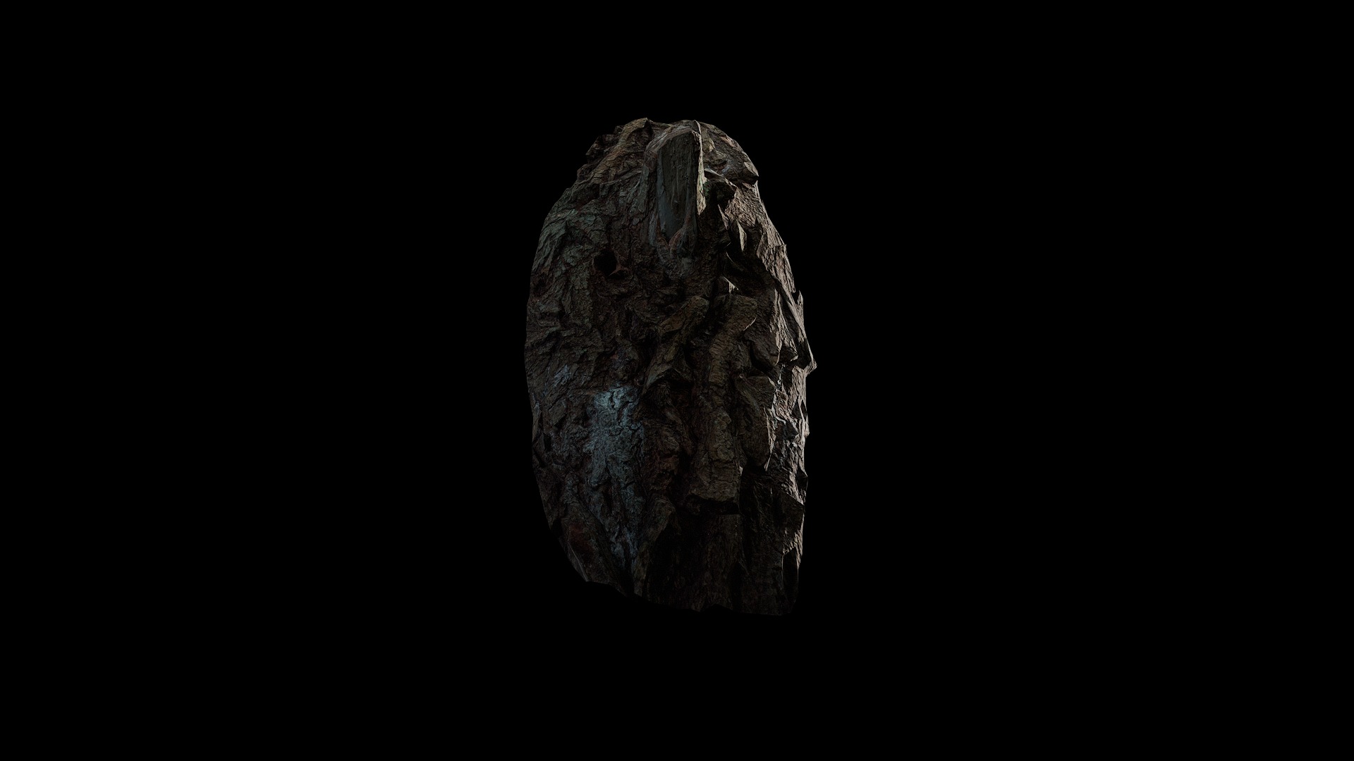 Anydrafts Salix babylonica Burl 09 Low-poly 3D model_5