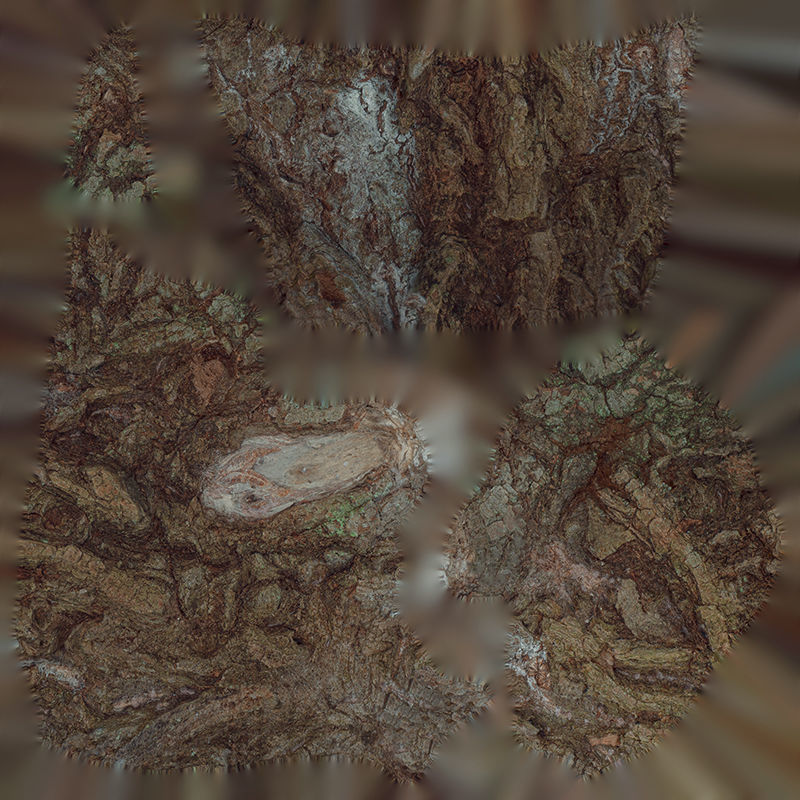 Anydrafts Salix babylonica Burl 09 Low-poly 3D model_1