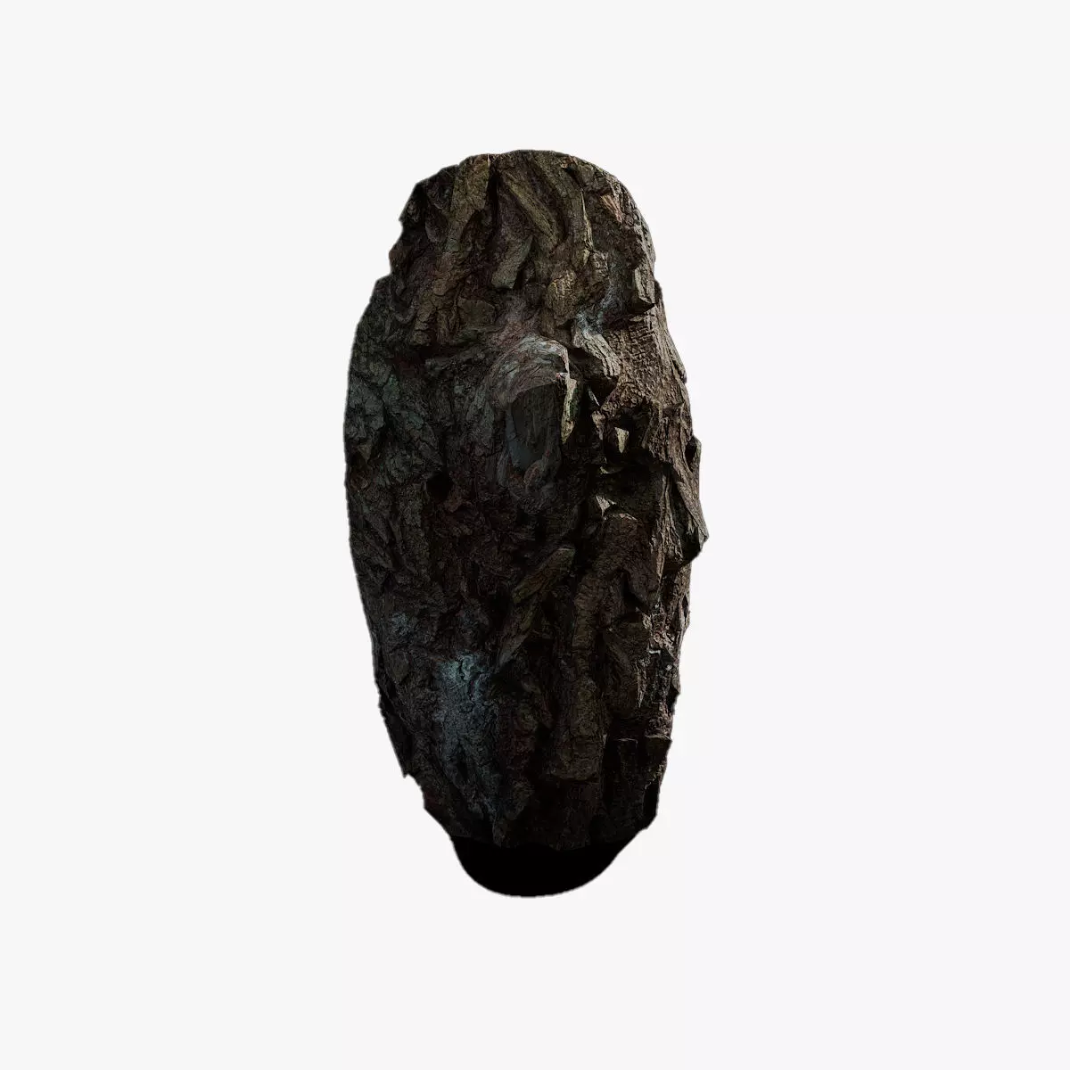 Anydrafts Salix babylonica Burl 09 Low-poly 3D model_0