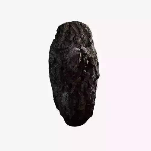 Anydrafts Salix babylonica Burl 09