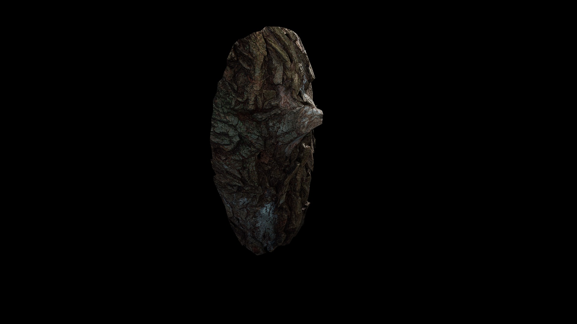 Anydrafts Salix babylonica Burl 09 Low-poly 3D model_8