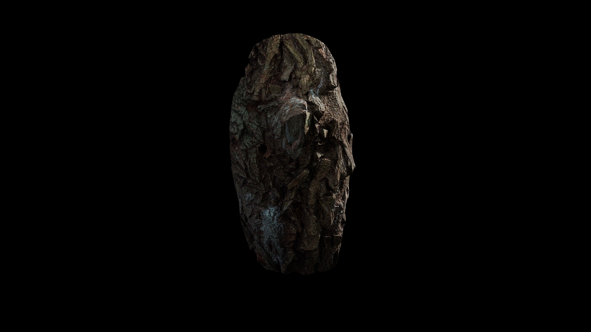 Anydrafts Salix babylonica Burl 09 Low-poly 3D model_2