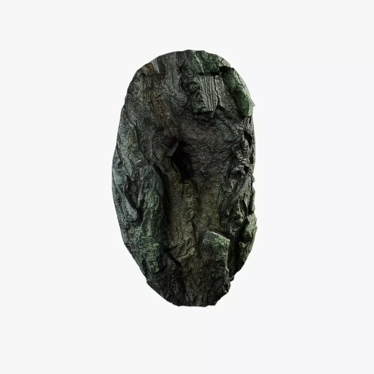 Anydrafts Salix babylonica Burl 10 Low-poly 3D model