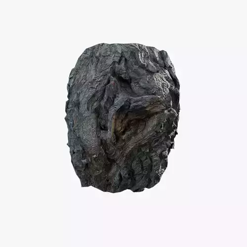 Anydrafts Salix matsudana Burl 02