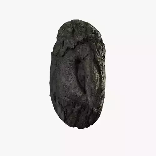 Anydrafts Salix matsudana Burl 03