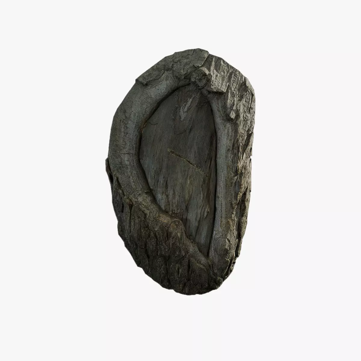 Anydrafts Salix matsudana Burl 06 Low-poly 3D model_0