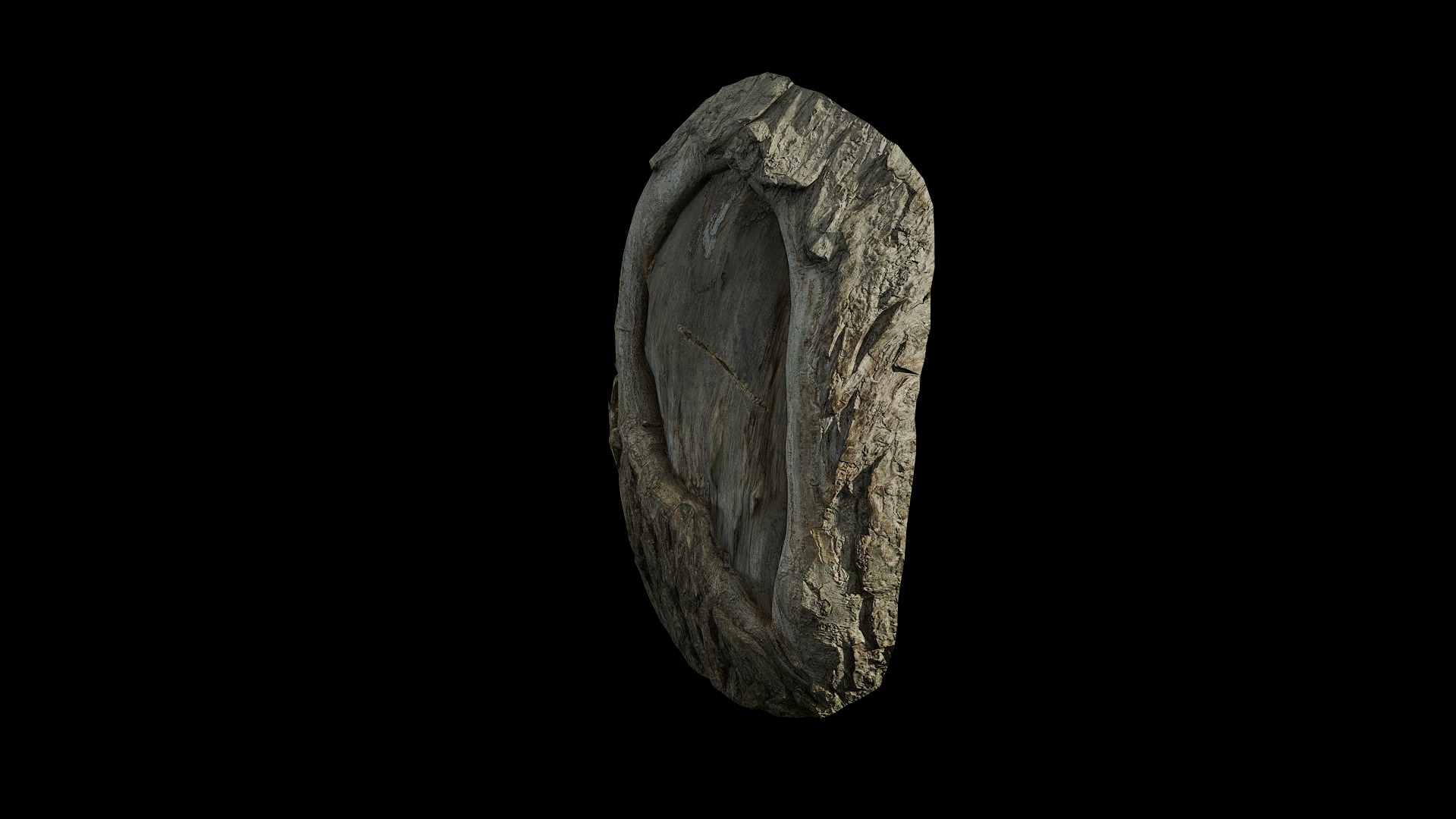 Anydrafts Salix matsudana Burl 06 Low-poly 3D model_4