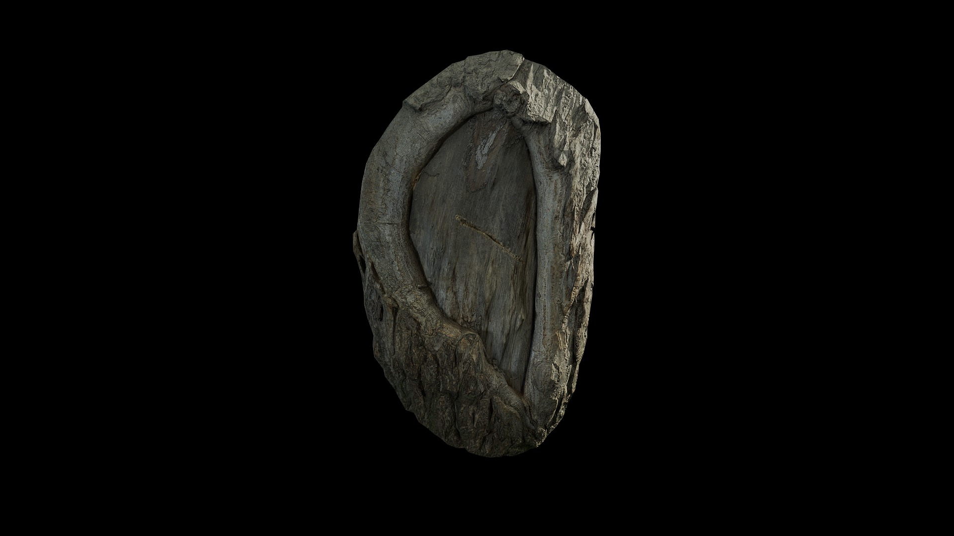 Anydrafts Salix matsudana Burl 06 Low-poly 3D model_2