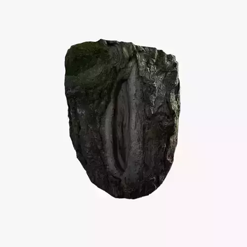 Anydrafts Salix matsudana Burl 07