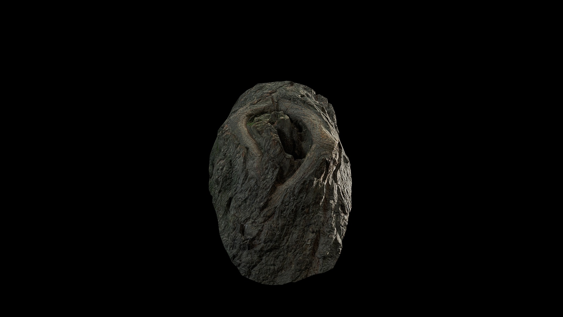 Anydrafts Salix matsudana Burl 08 Low-poly 3D model_5