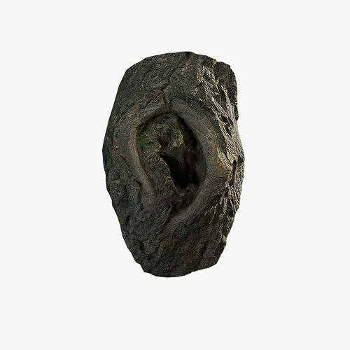 Anydrafts Salix matsudana Burl 08 Low-poly 3D model