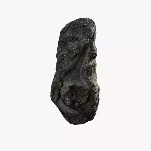 Anydrafts Salix matsudana Burl 09