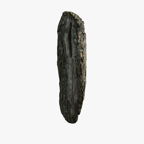 Anydrafts Salix matsudana Burl 11 Low-poly 3D model