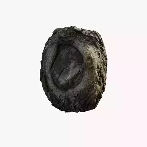 Anydrafts Salix matsudana Burl 12