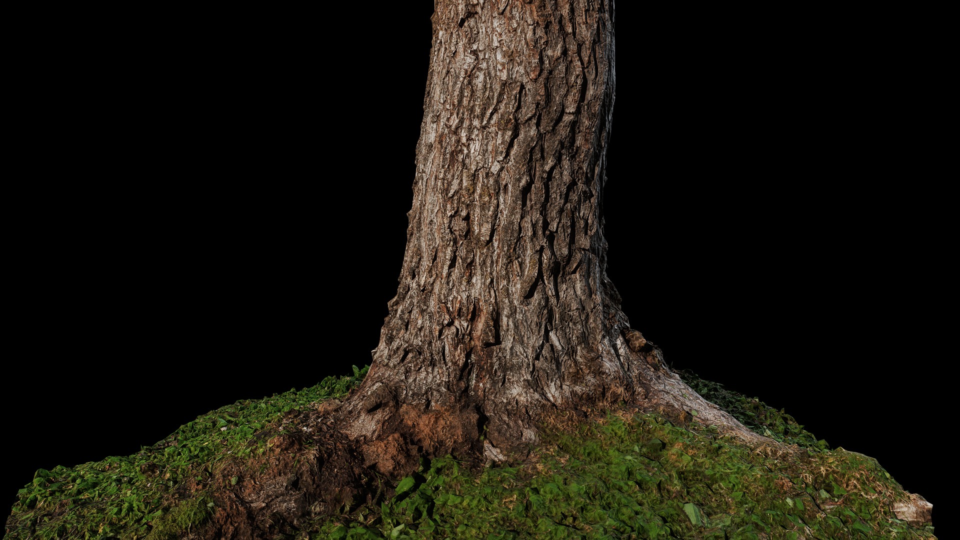 Anydrafts Salix matsudana Trunk 01 Low-poly 3D model_7