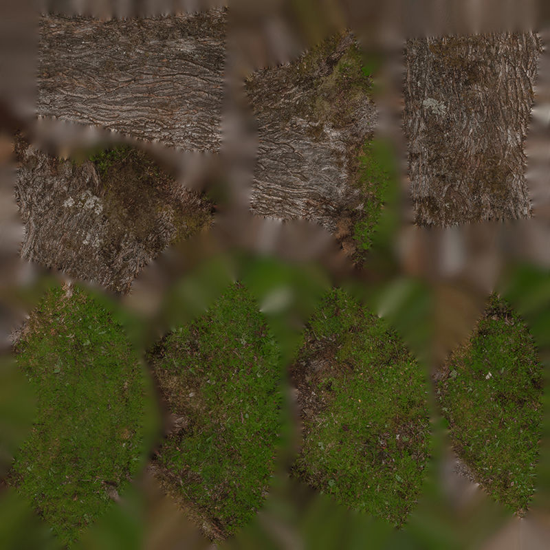 Anydrafts Salix matsudana Trunk 01 Low-poly 3D model_1