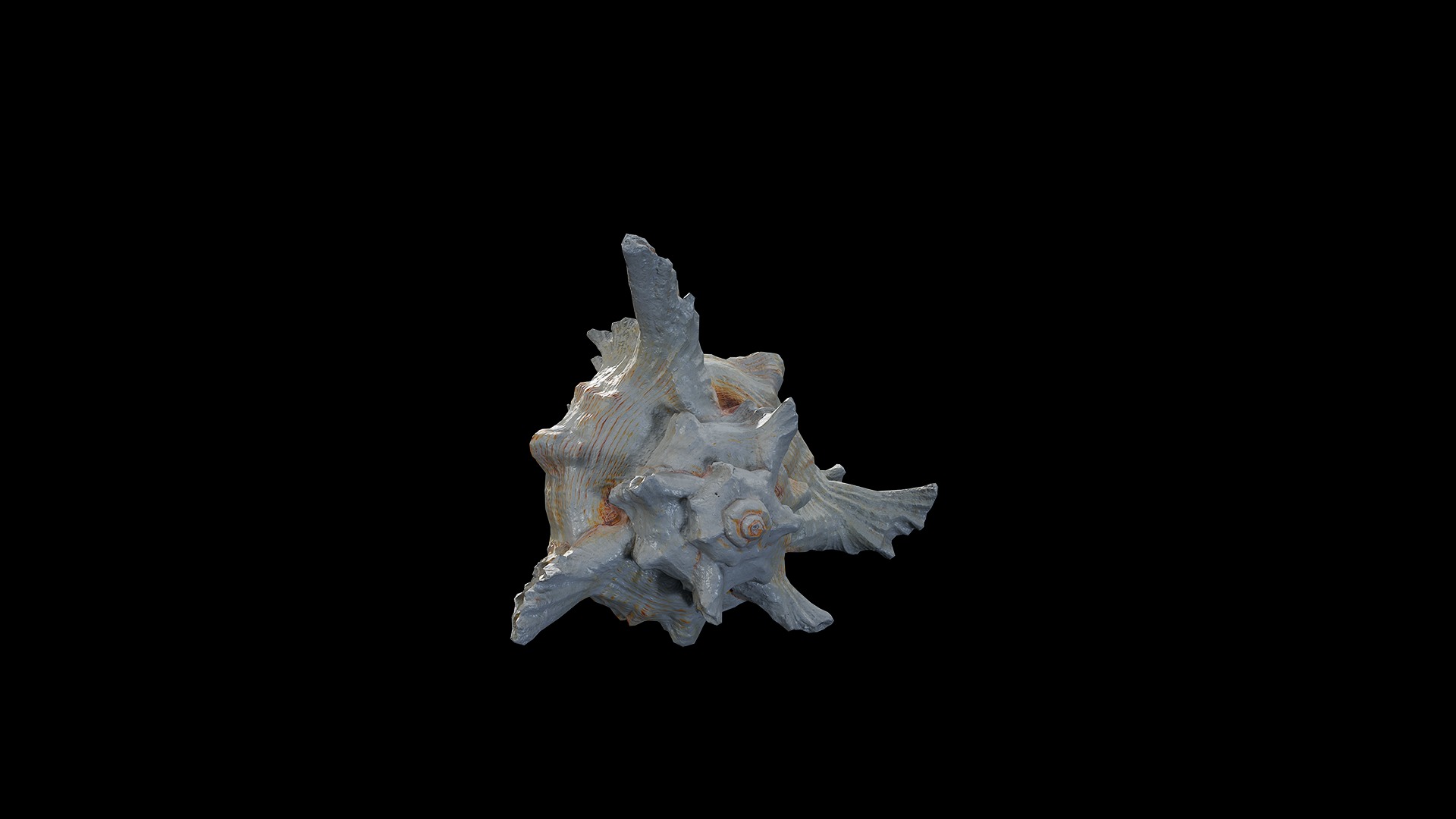 Anydrafts Sea snail 01 Low-poly 3D model_5