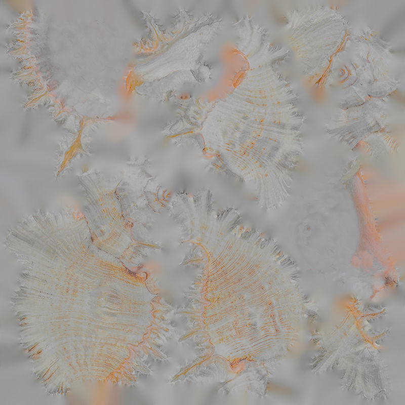 Anydrafts Sea snail 01 Low-poly 3D model_1