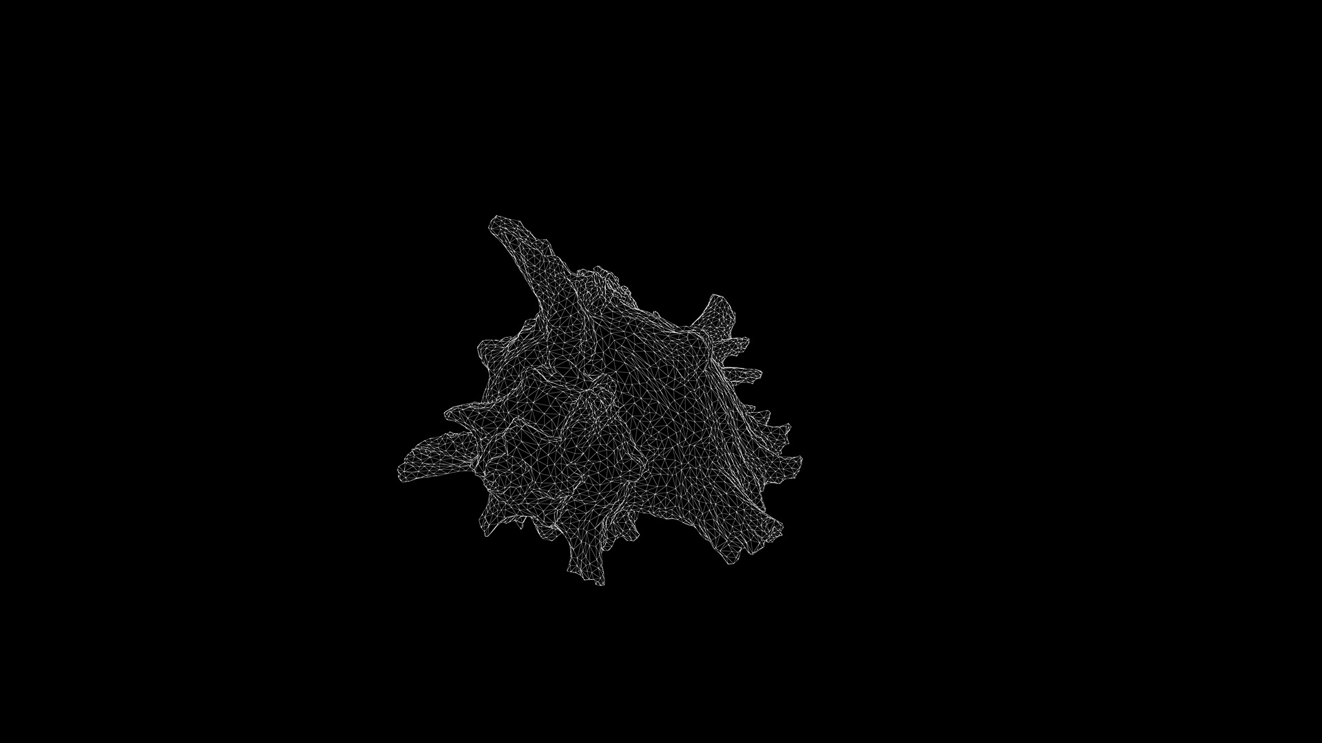 Anydrafts Sea snail 01 Low-poly 3D model_3