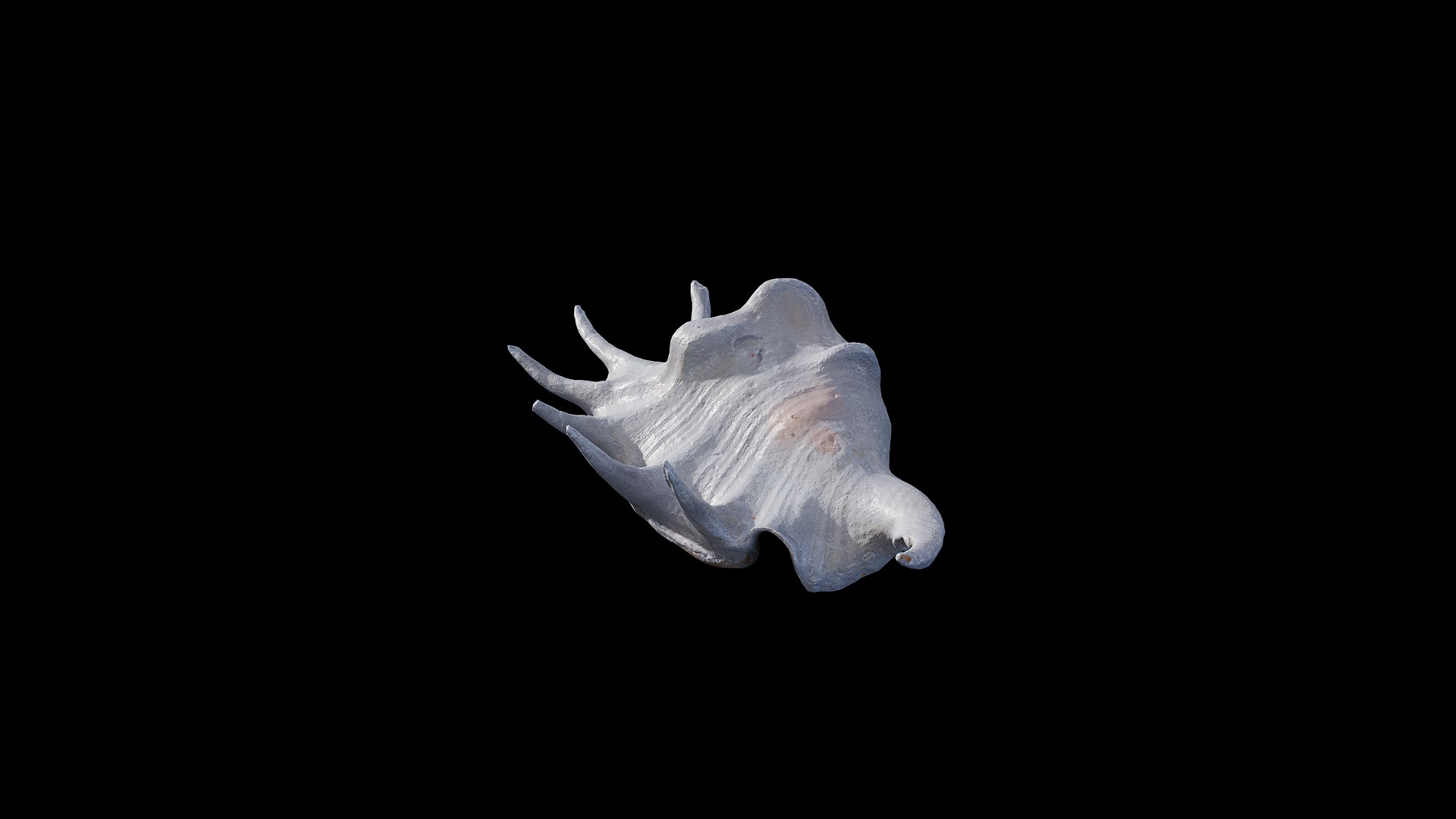 Anydrafts Sea snail 04 Low-poly 3D model_6
