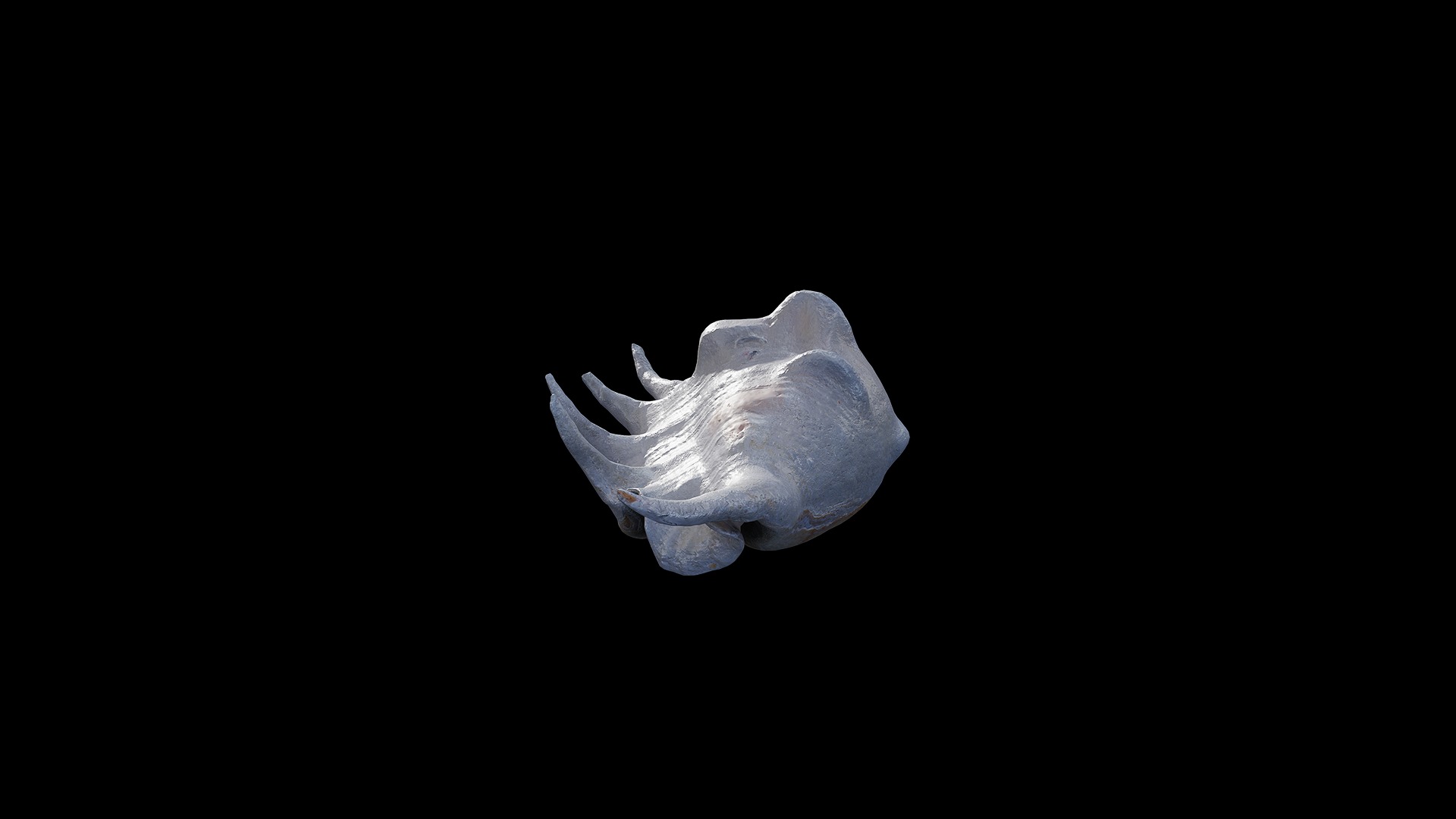 Anydrafts Sea snail 04 Low-poly 3D model_5
