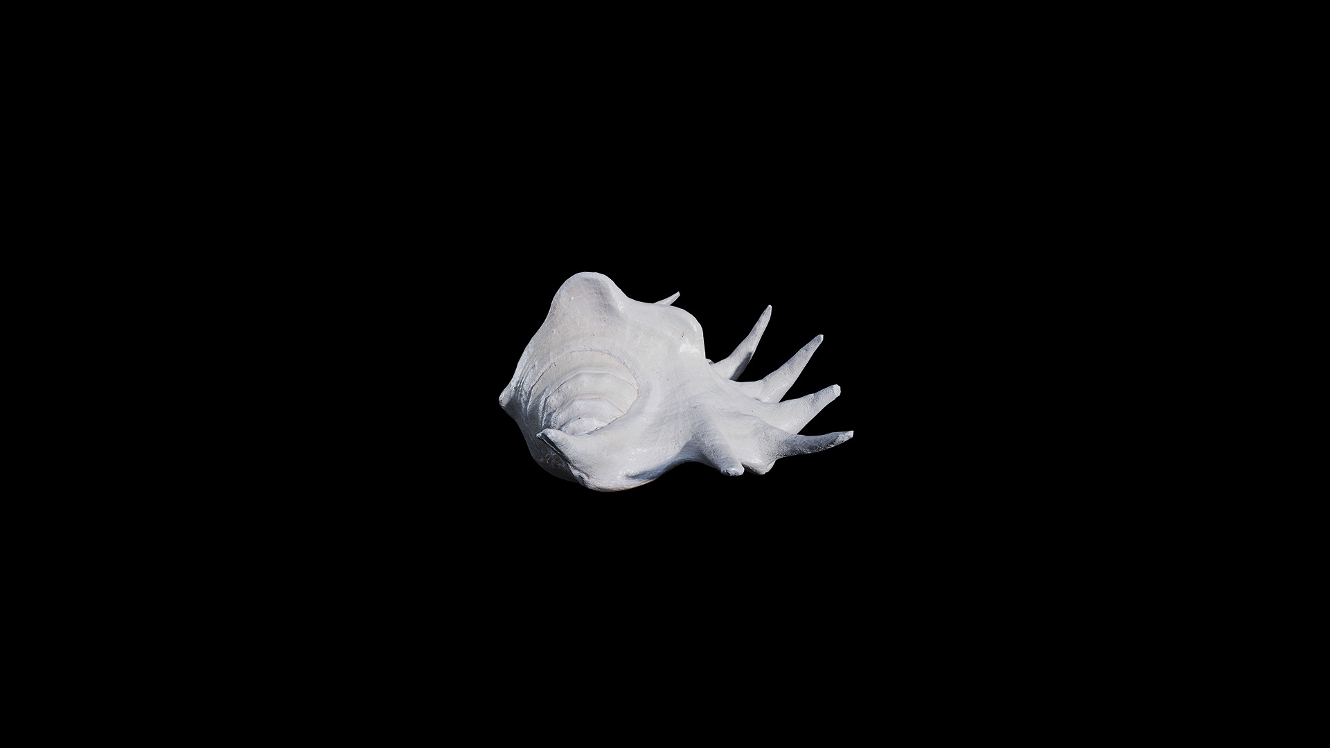 Anydrafts Sea snail 04 Low-poly 3D model_4