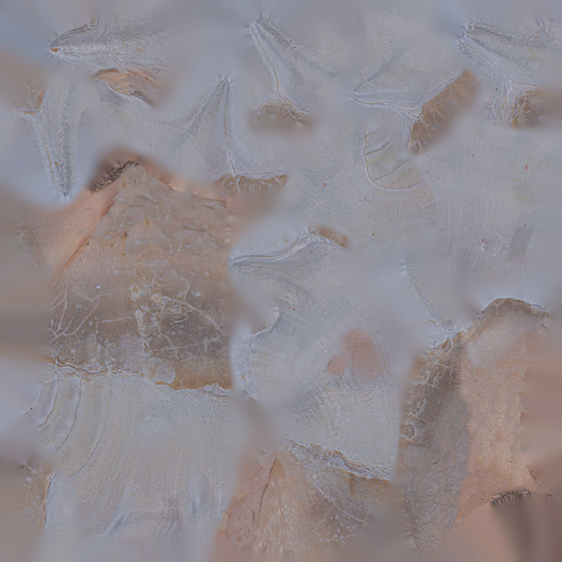 Anydrafts Sea snail 04 Low-poly 3D model_1