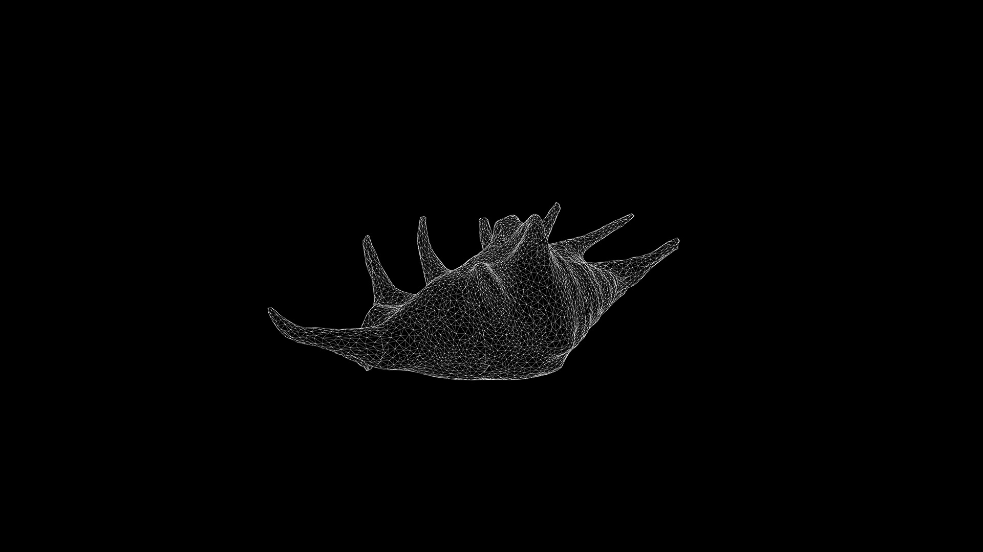 Anydrafts Sea snail 04 Low-poly 3D model_3