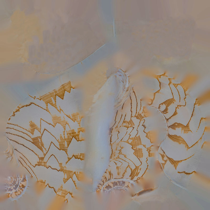 Anydrafts Sea snail 05 Low-poly 3D model_1