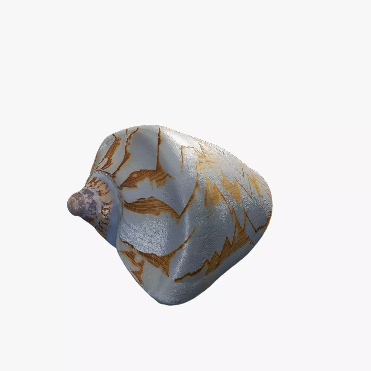 Anydrafts Sea snail 05 Low-poly 3D model_0