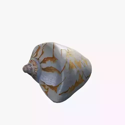Anydrafts Sea snail 05