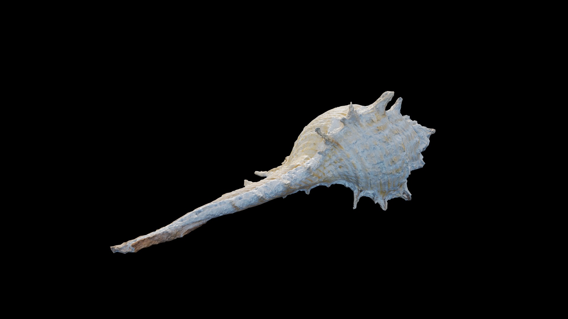 Anydrafts Sea snail 06 Low-poly 3D model_2