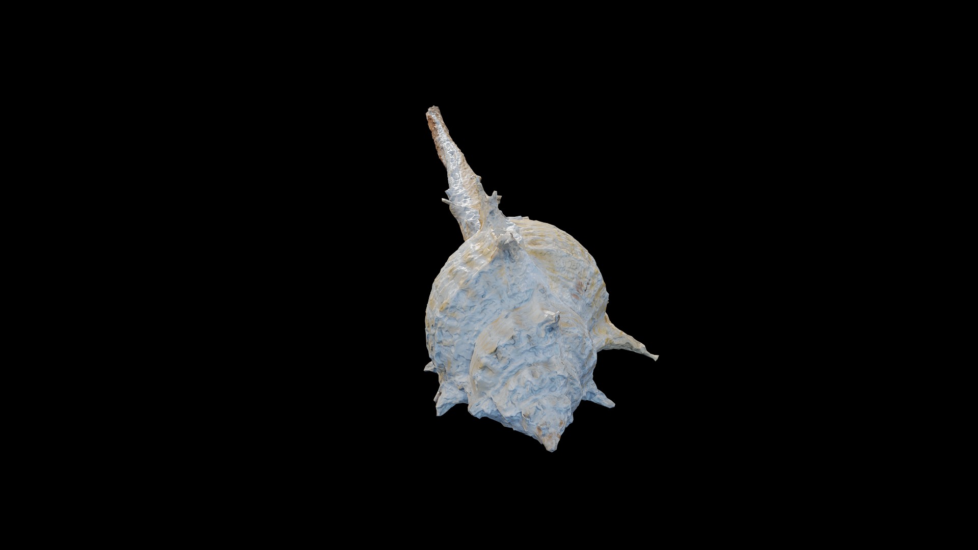 Anydrafts Sea snail 06 Low-poly 3D model_4
