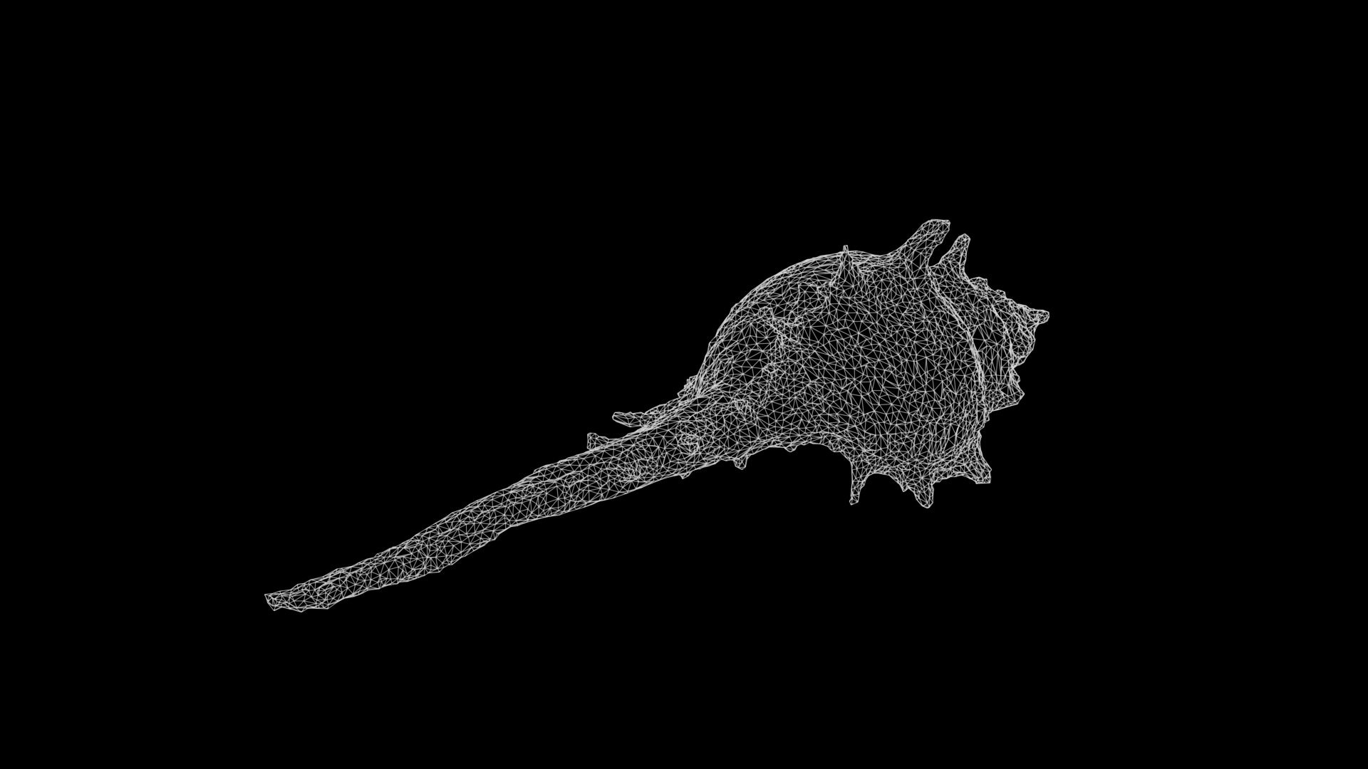 Anydrafts Sea snail 06 Low-poly 3D model_3