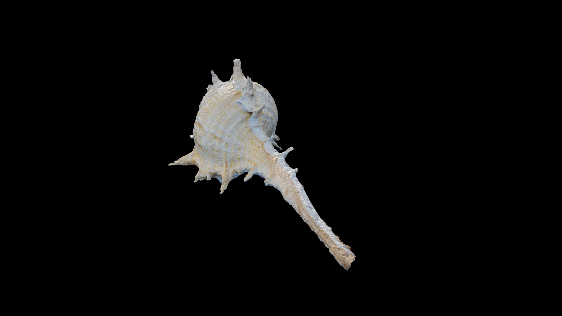 Anydrafts Sea snail 06 Low-poly 3D model_6