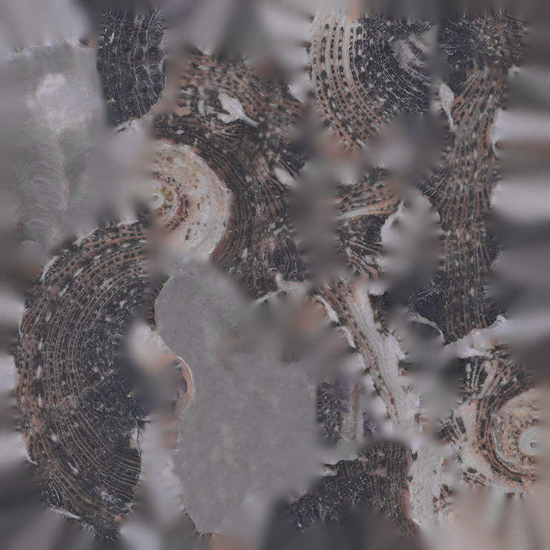 Anydrafts Sea snail 07 Low-poly 3D model_1