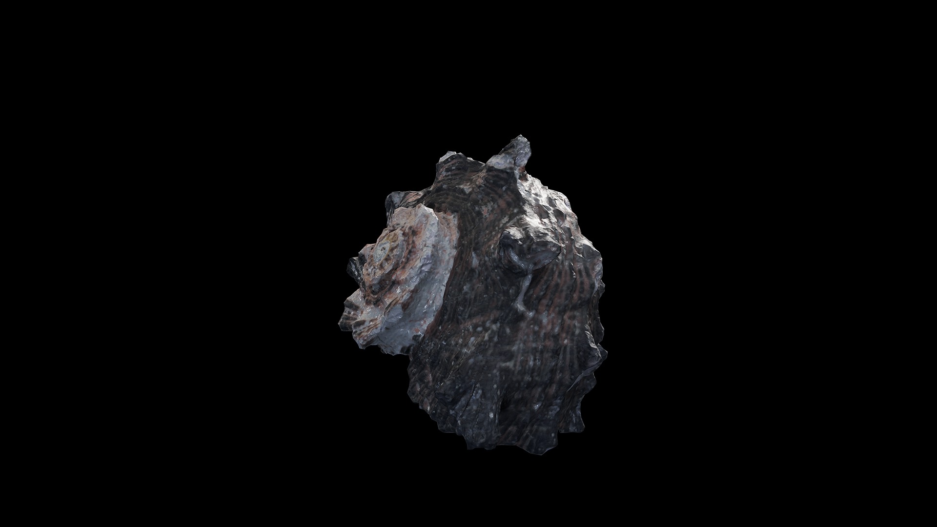 Anydrafts Sea snail 07 Low-poly 3D model_7