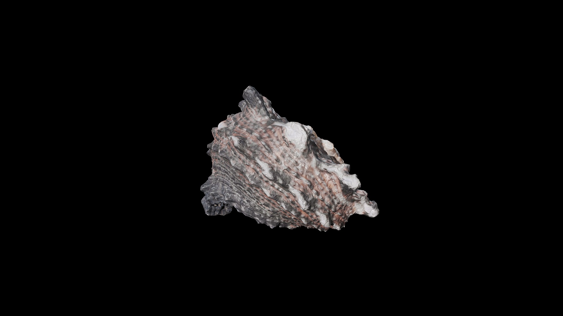 Anydrafts Sea snail 07 Low-poly 3D model_6