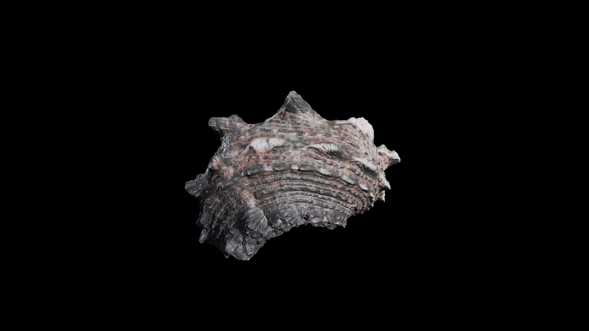 Anydrafts Sea snail 07 Low-poly 3D model_4