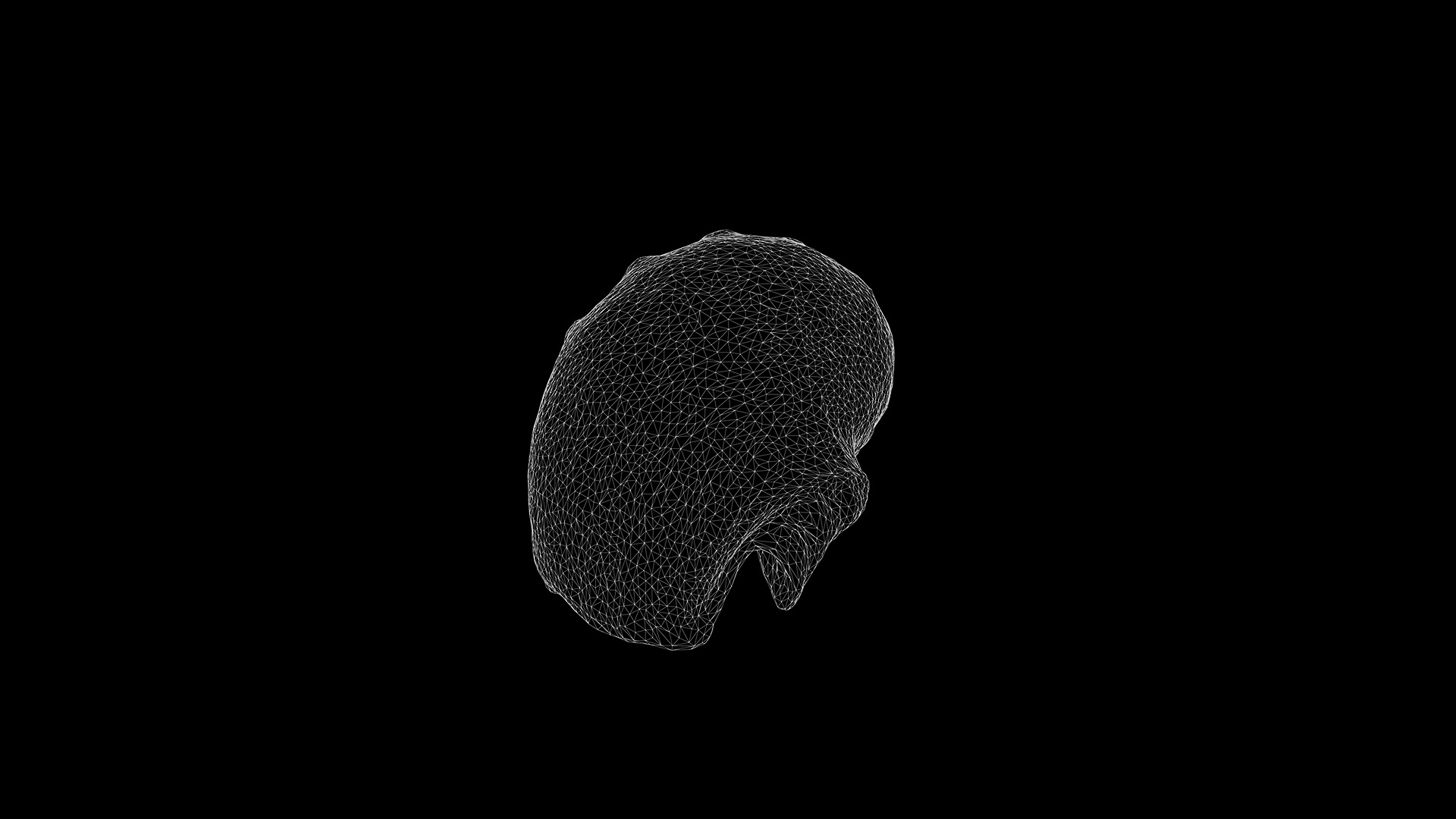 Anydrafts Sea snail 08 Low-poly 3D model_3