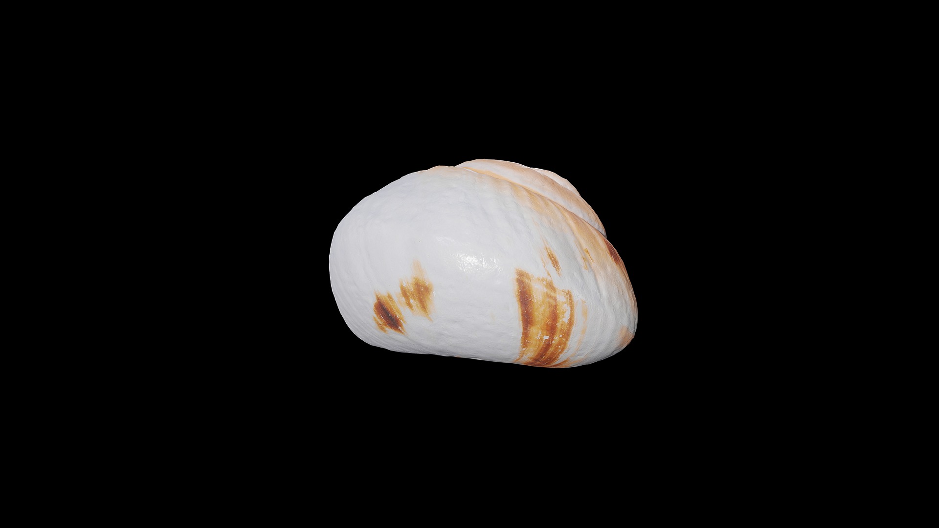 Anydrafts Sea snail 09 Low-poly 3D model_6