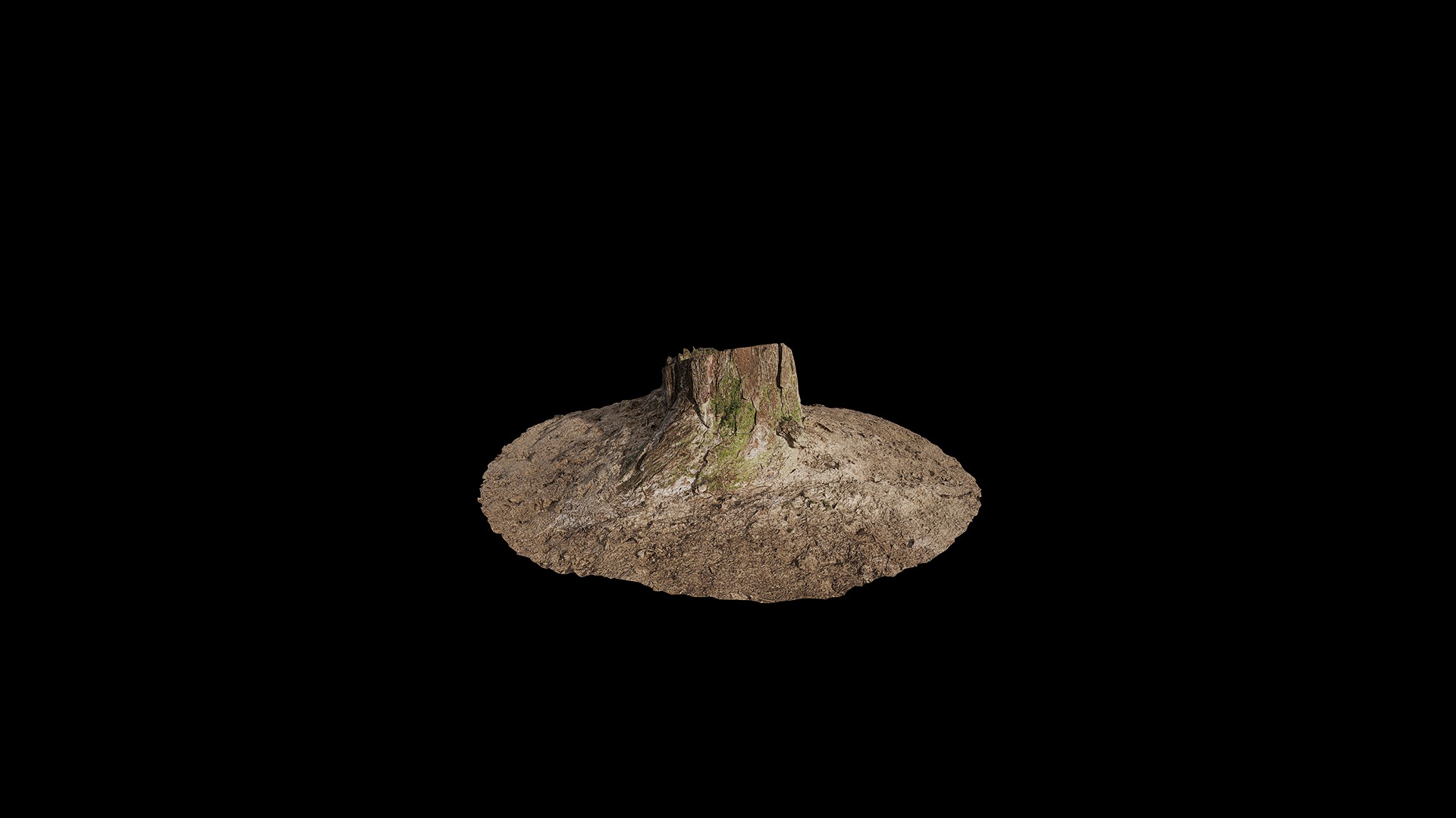 Anydrafts Stump 02 Low-poly 3D model_4