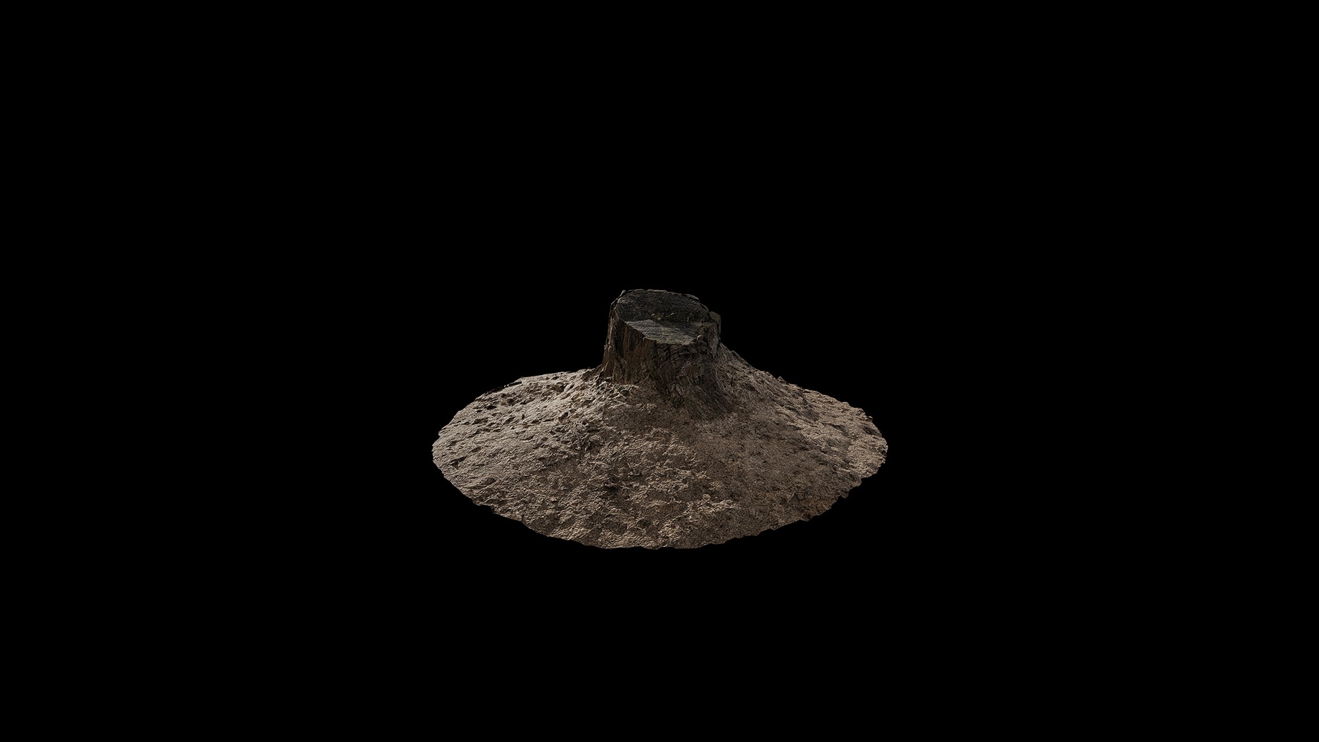 Anydrafts Stump 02 Low-poly 3D model_5