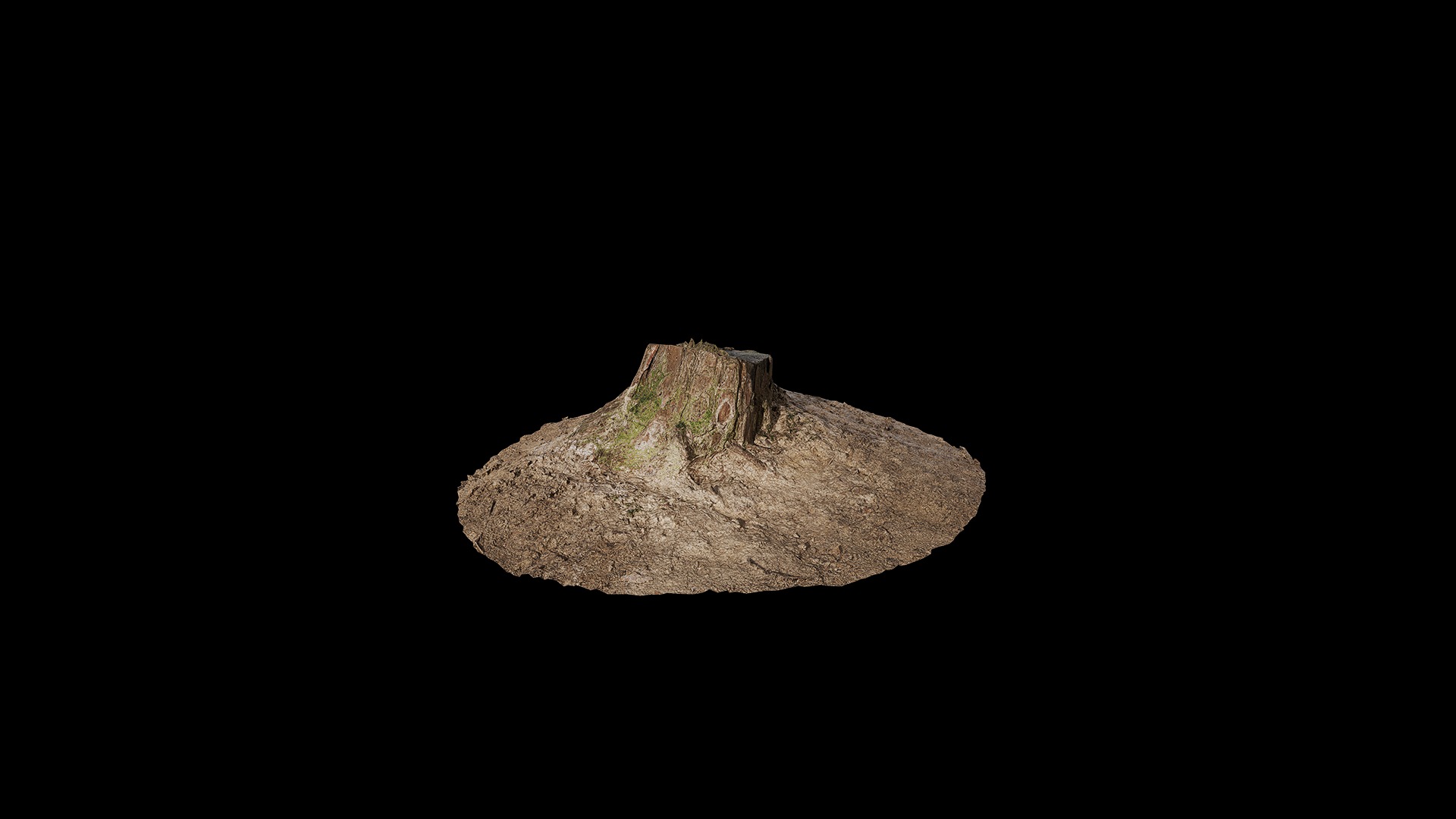 Anydrafts Stump 02 Low-poly 3D model_7