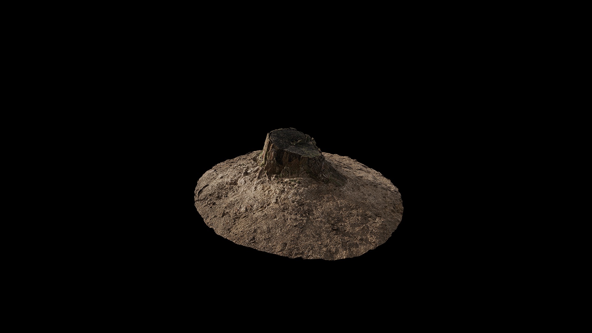 Anydrafts Stump 02 Low-poly 3D model_6